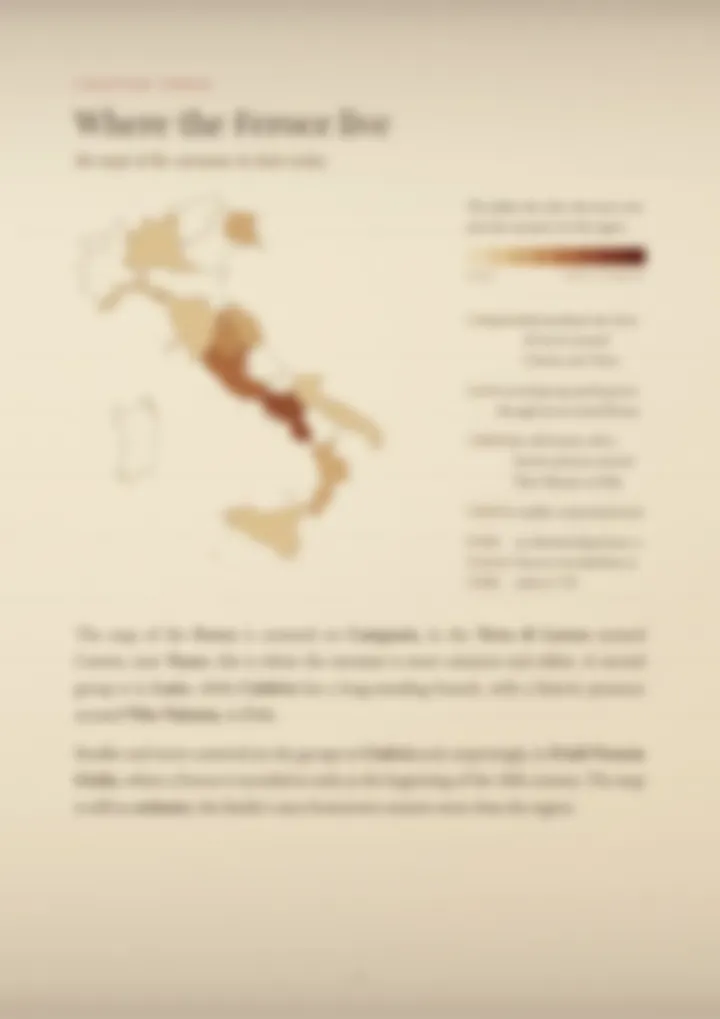 A blurred page from the PDF on the Feroce surname