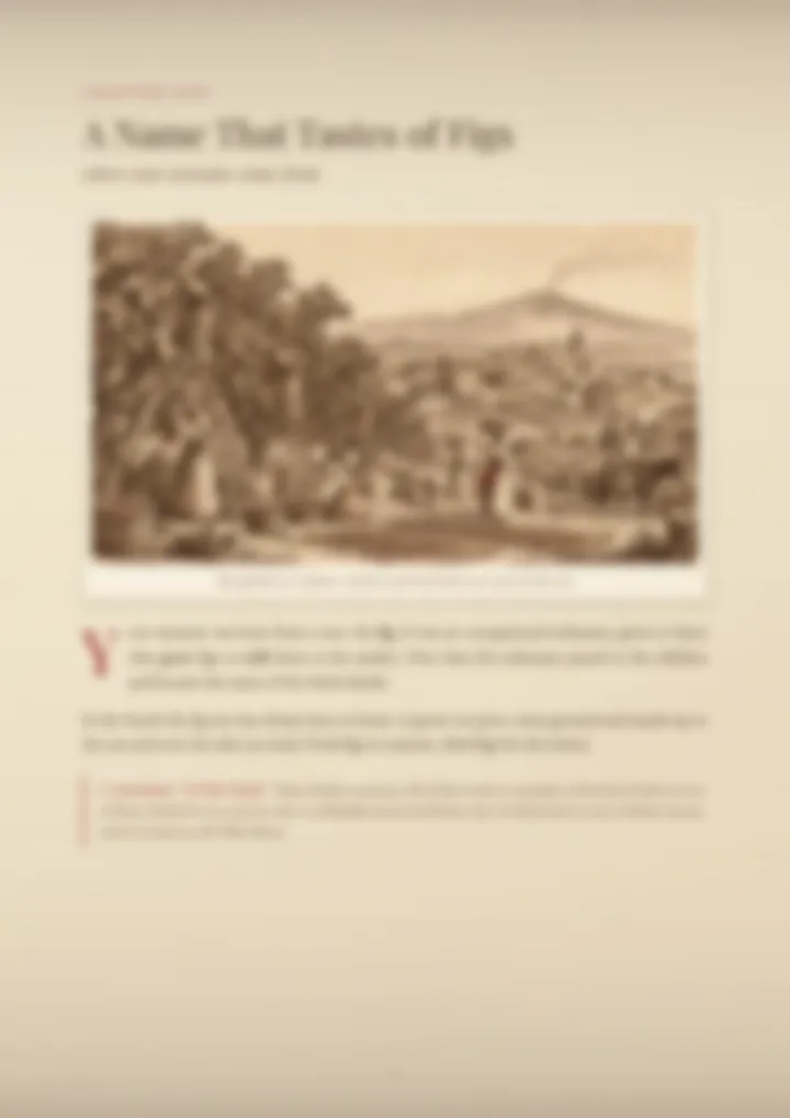 A blurred page from the PDF on the Fichera surname