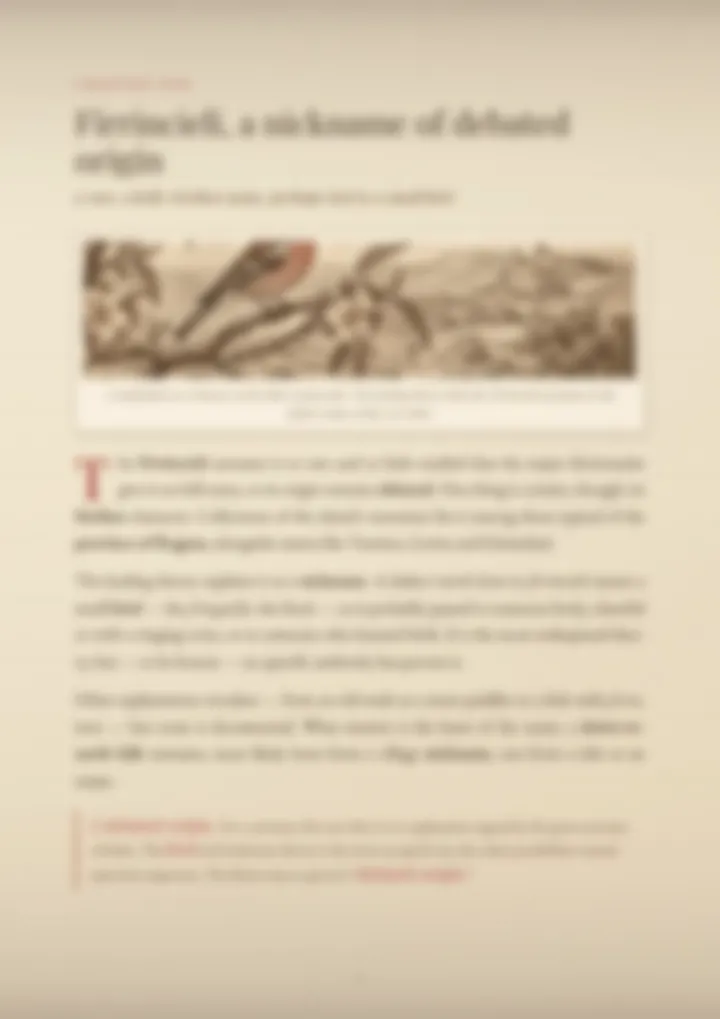 A blurred page from the PDF on the Firrincieli surname
