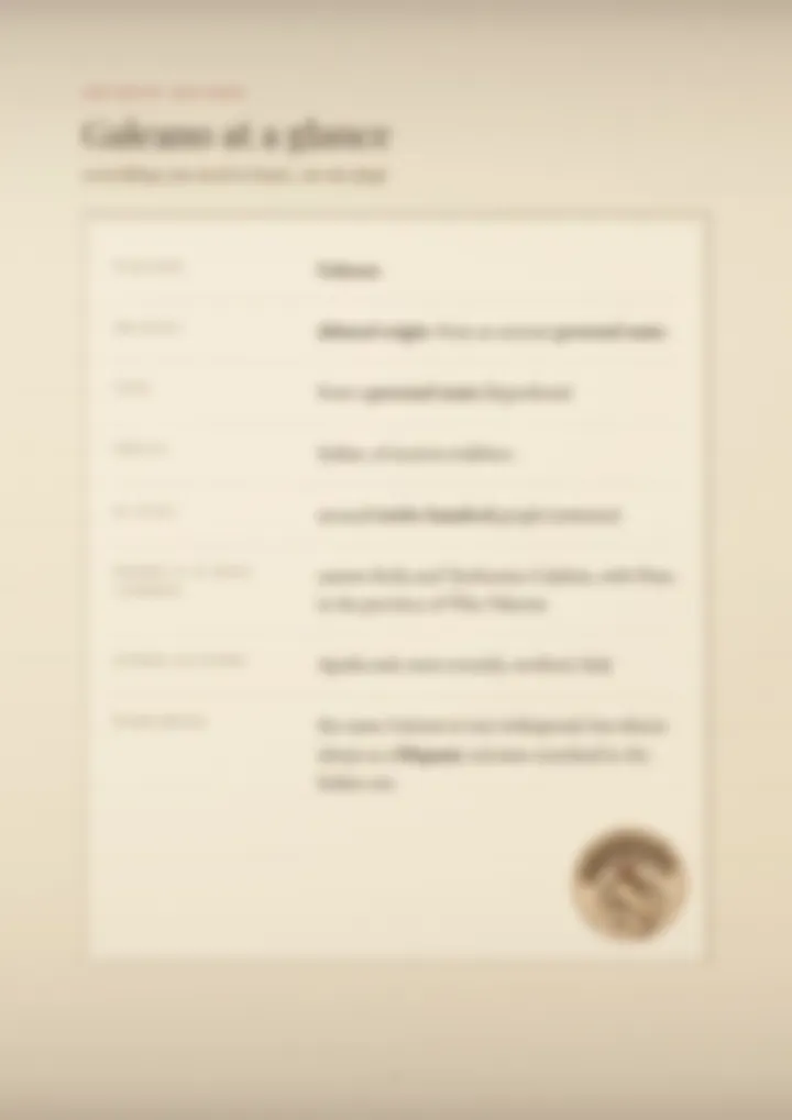 A blurred page from the PDF on the Galeano surname