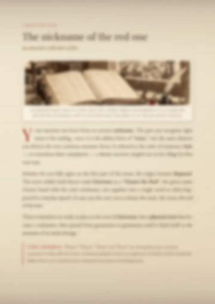 A blurred page from the PDF on the Giarrusso surname