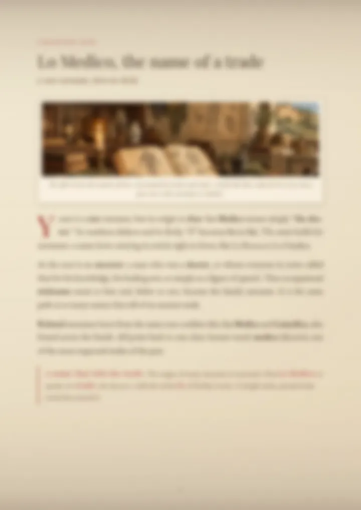 A blurred page from the PDF on the Lo Medico surname