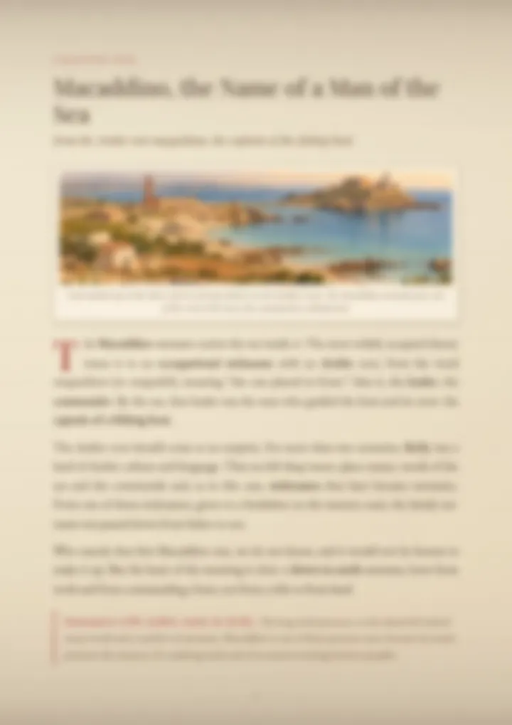 A blurred page from the PDF on the Macaddino surname