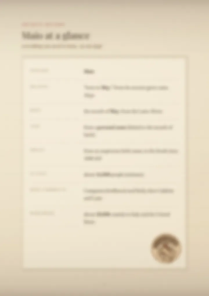 A blurred page from the PDF on the Maio surname