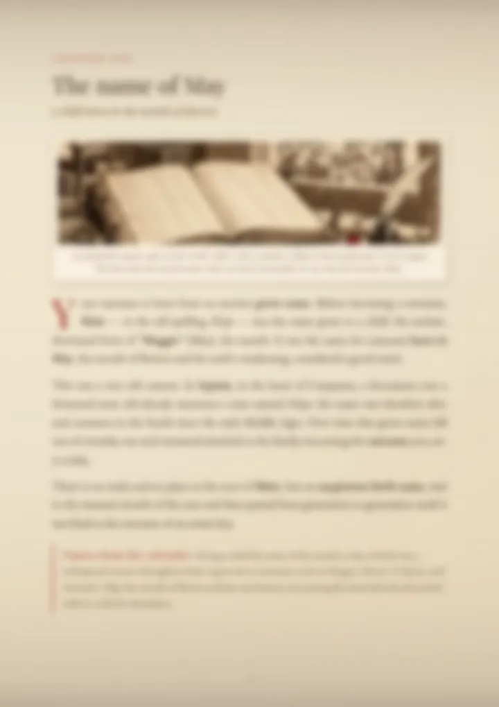 A blurred page from the PDF on the Maio surname