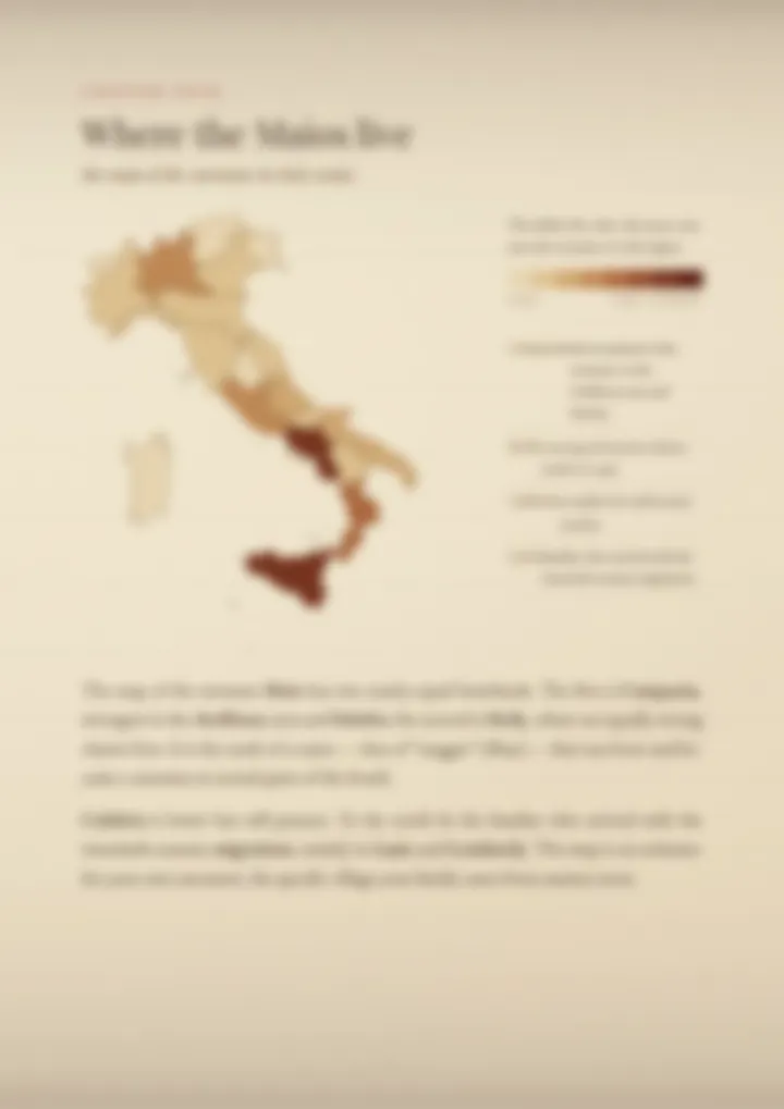 A blurred page from the PDF on the Maio surname