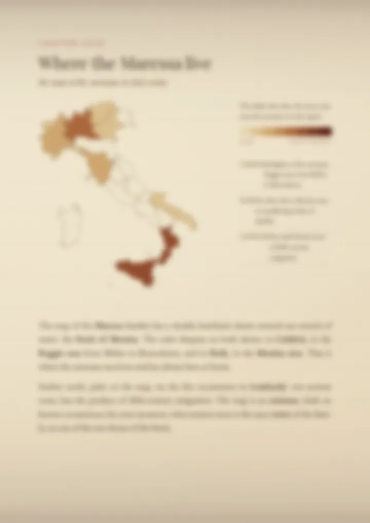 A blurred page from the PDF on the Maressa surname