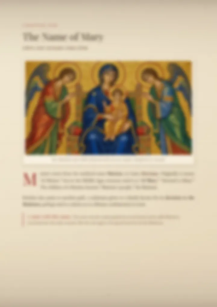 A blurred page from the PDF on the Mariani surname