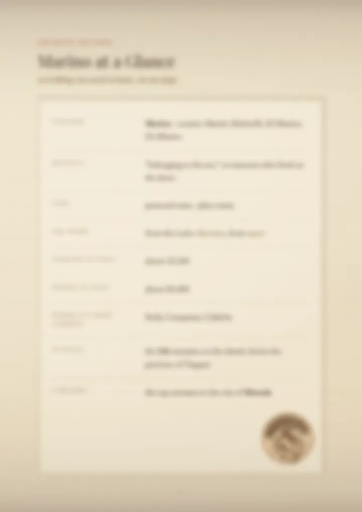 A blurred page from the PDF on the Marino surname