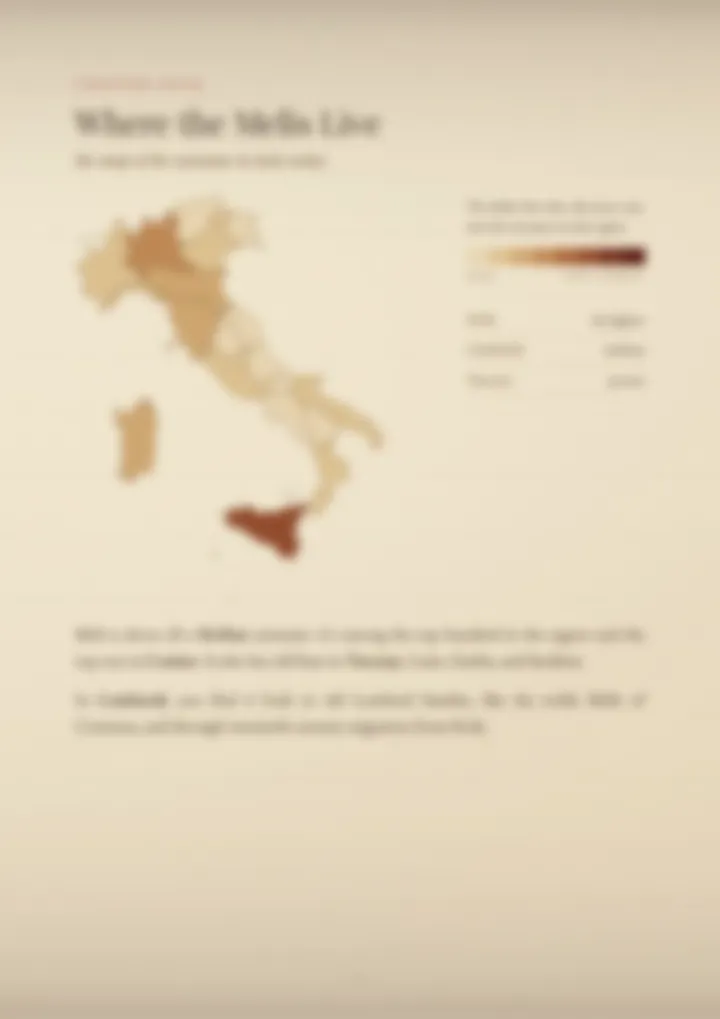 A blurred page from the PDF on the Meli surname