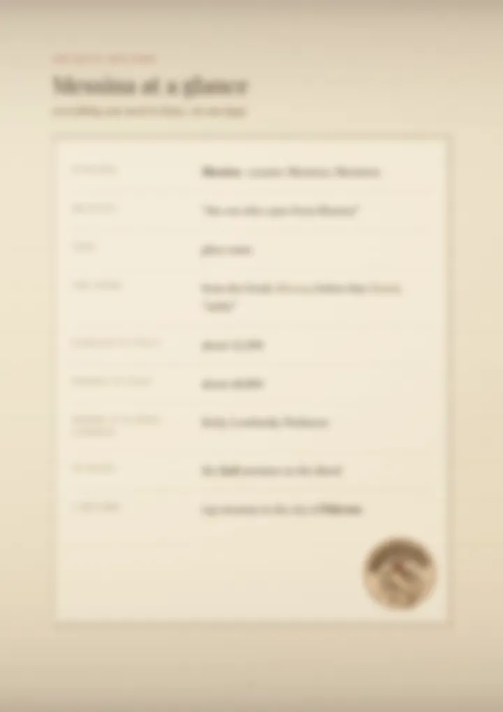 A blurred page from the PDF on the Messina surname
