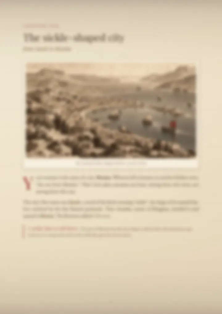 A blurred page from the PDF on the Messina surname