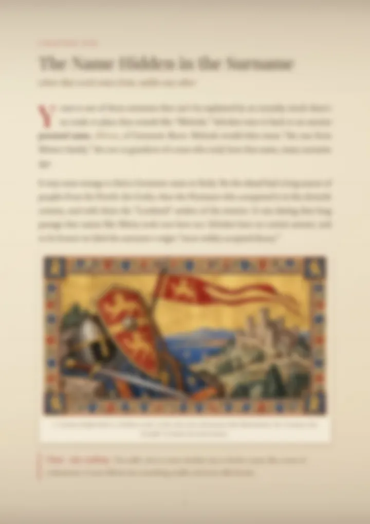A blurred page from the PDF on the Mirisola surname
