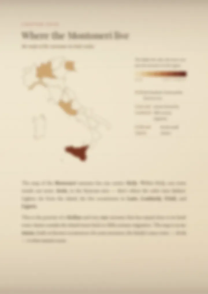 A blurred page from the PDF on the Montoneri surname
