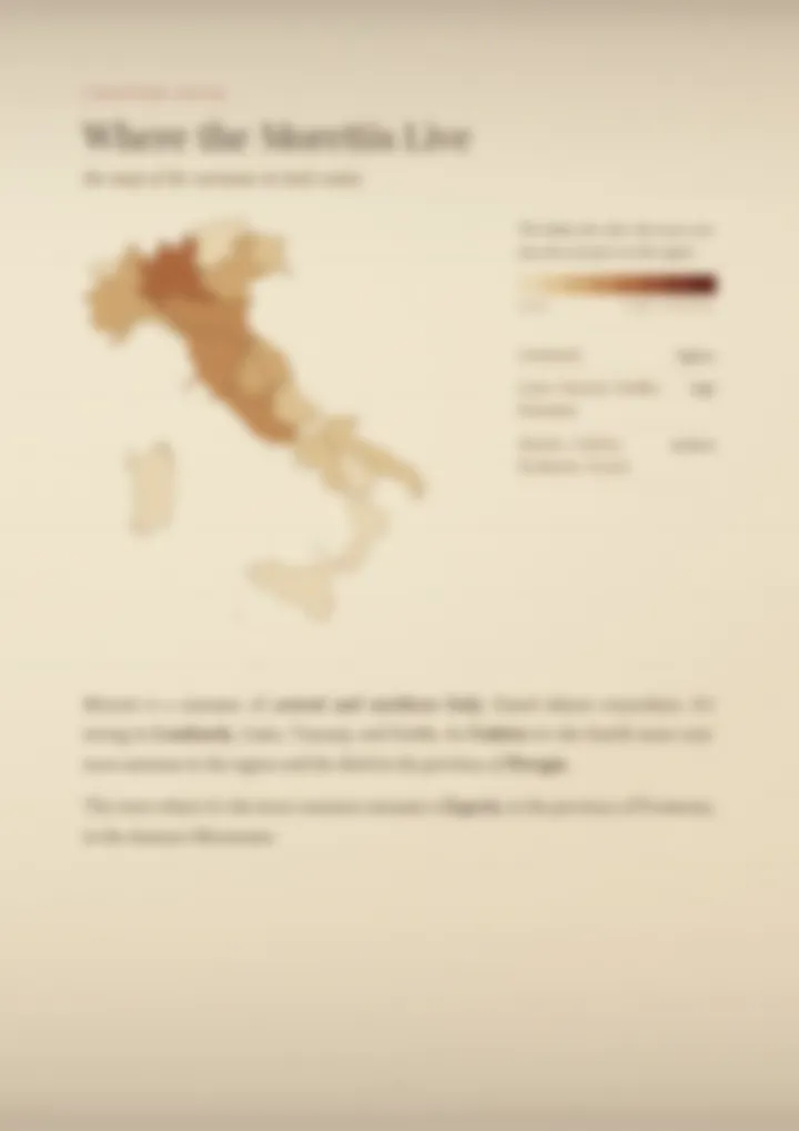 A blurred page from the PDF on the Moretti surname