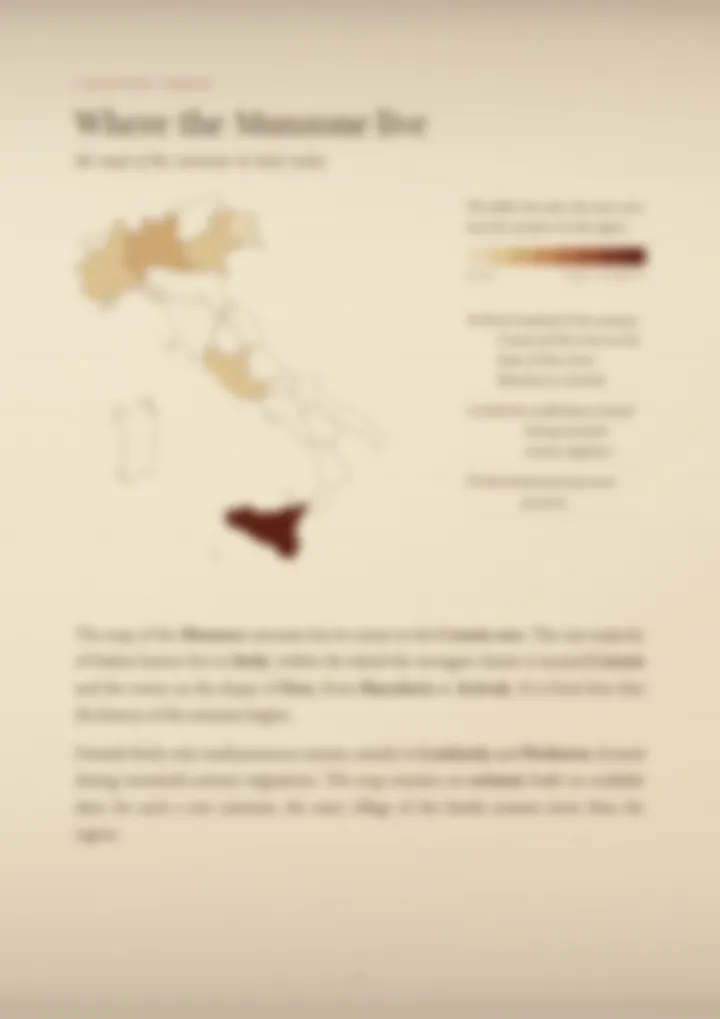 A blurred page from the PDF on the Munzone surname