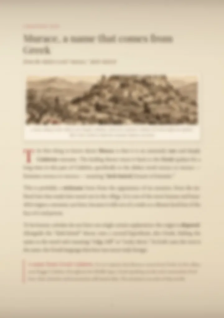 A blurred page from the PDF on the Murace surname