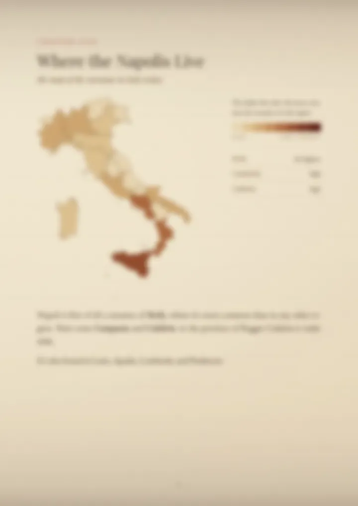 A blurred page from the PDF on the Napoli surname
