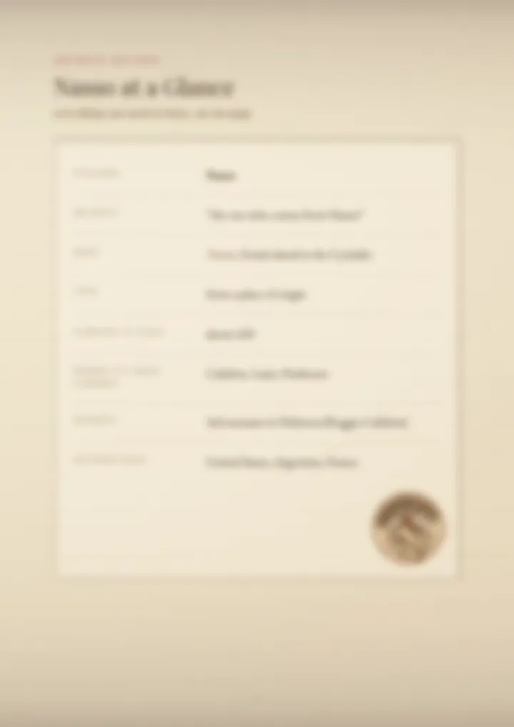 A blurred page from the PDF on the Nasso surname