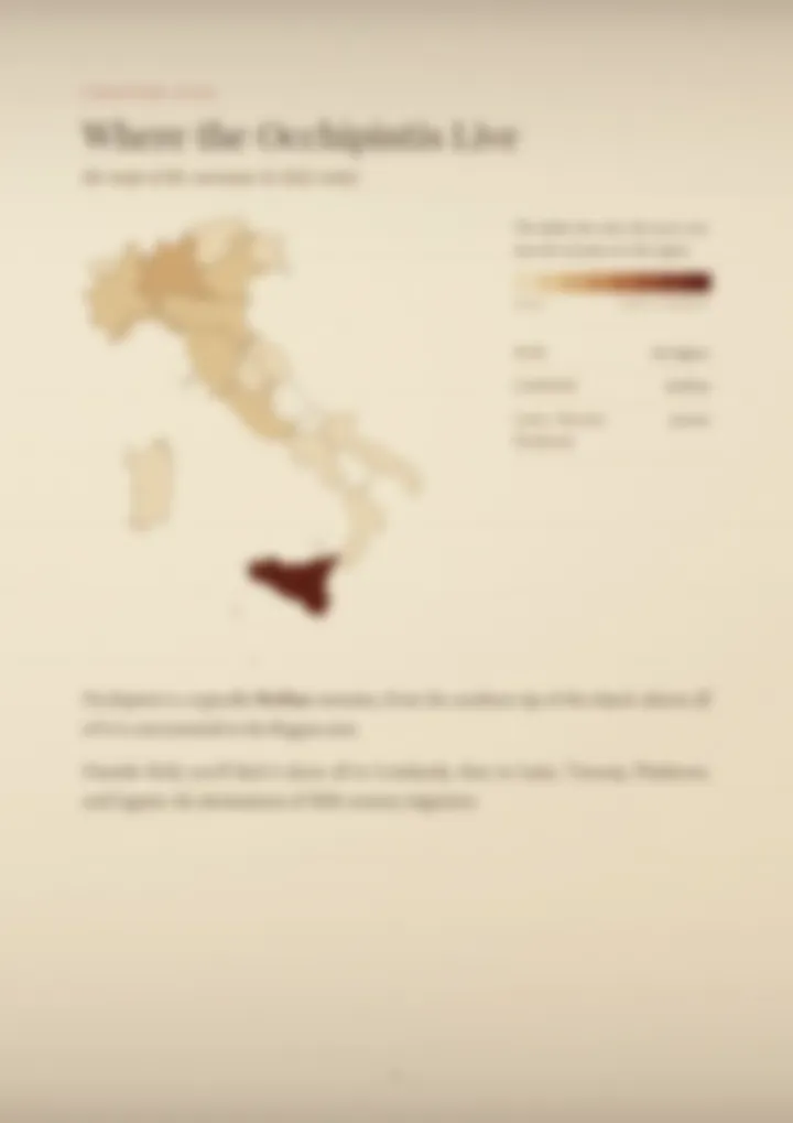 A blurred page from the PDF on the Occhipinti surname