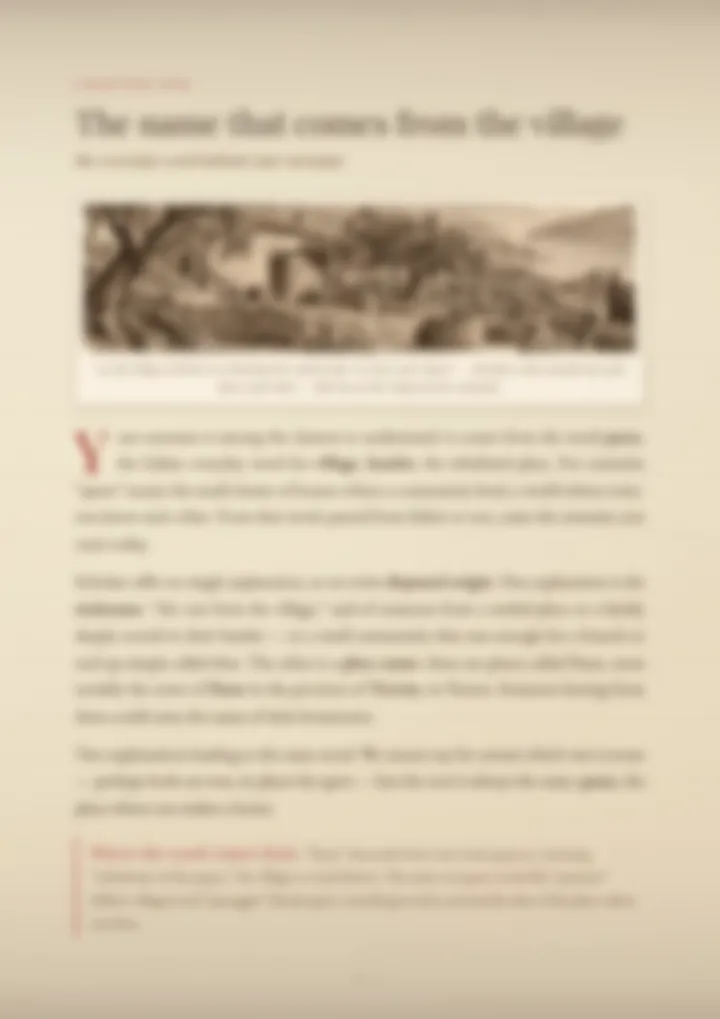A blurred page from the PDF on the Paese surname