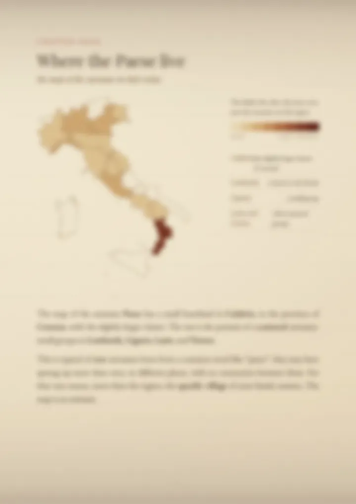 A blurred page from the PDF on the Paese surname