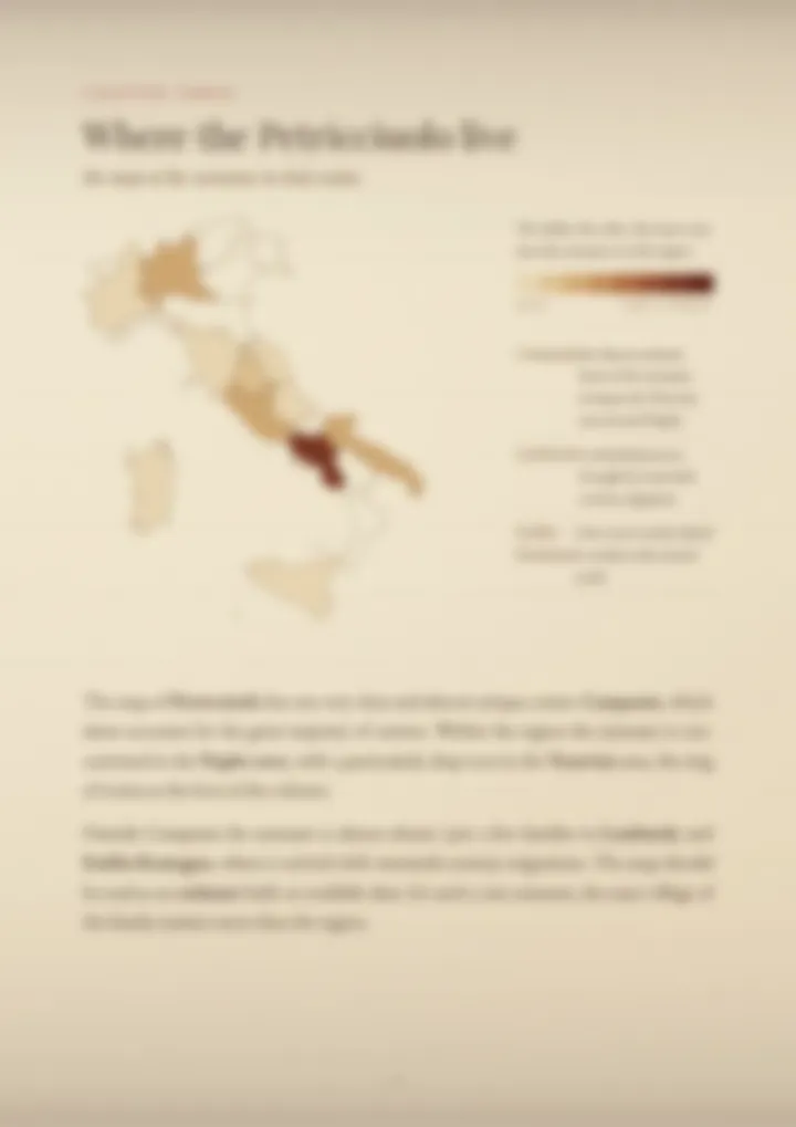 A blurred page from the PDF on the Petricciuolo surname