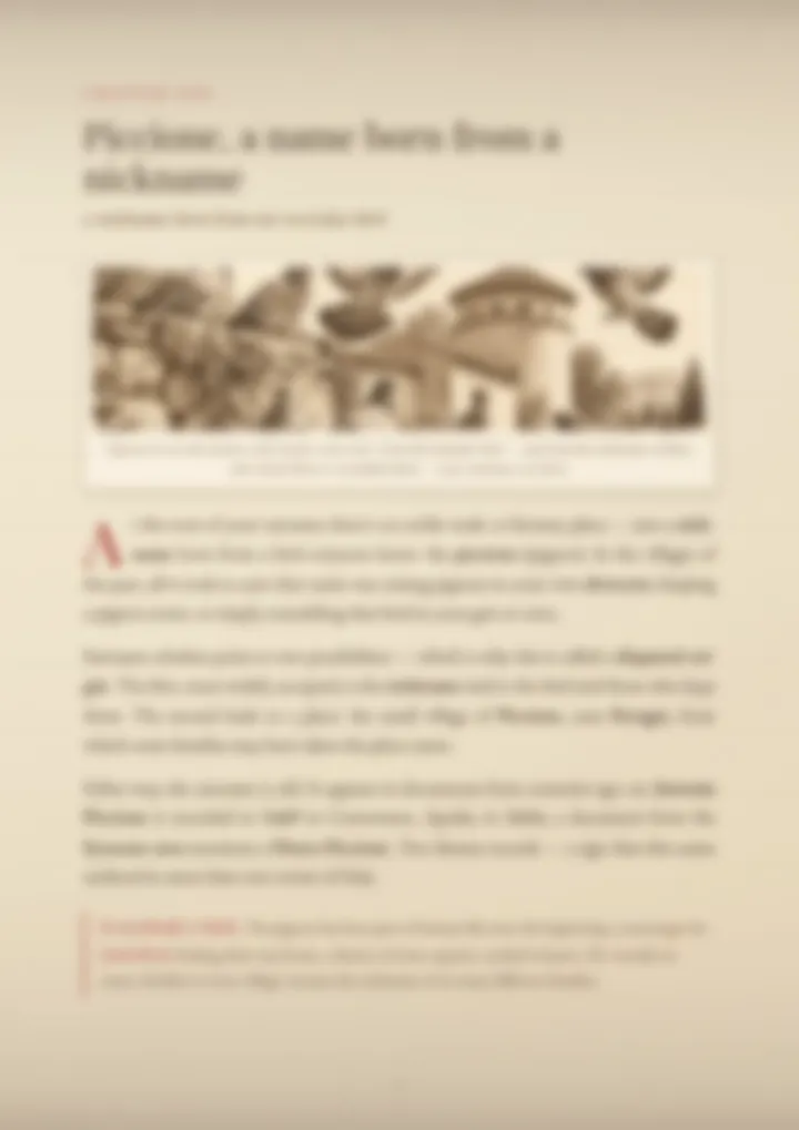 A blurred page from the PDF on the Piccione surname