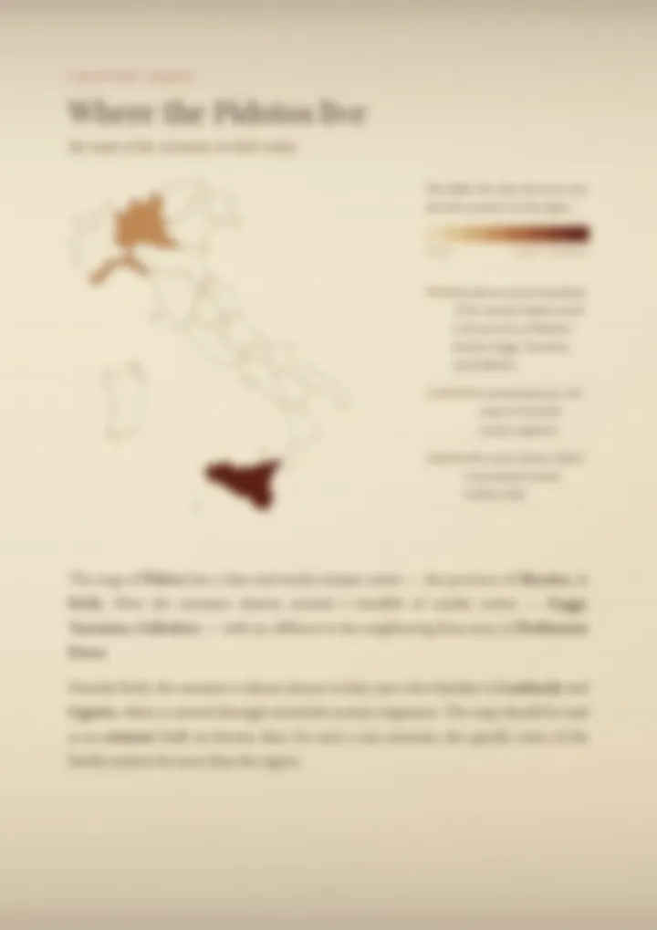 A blurred page from the PDF on the Pidoto surname