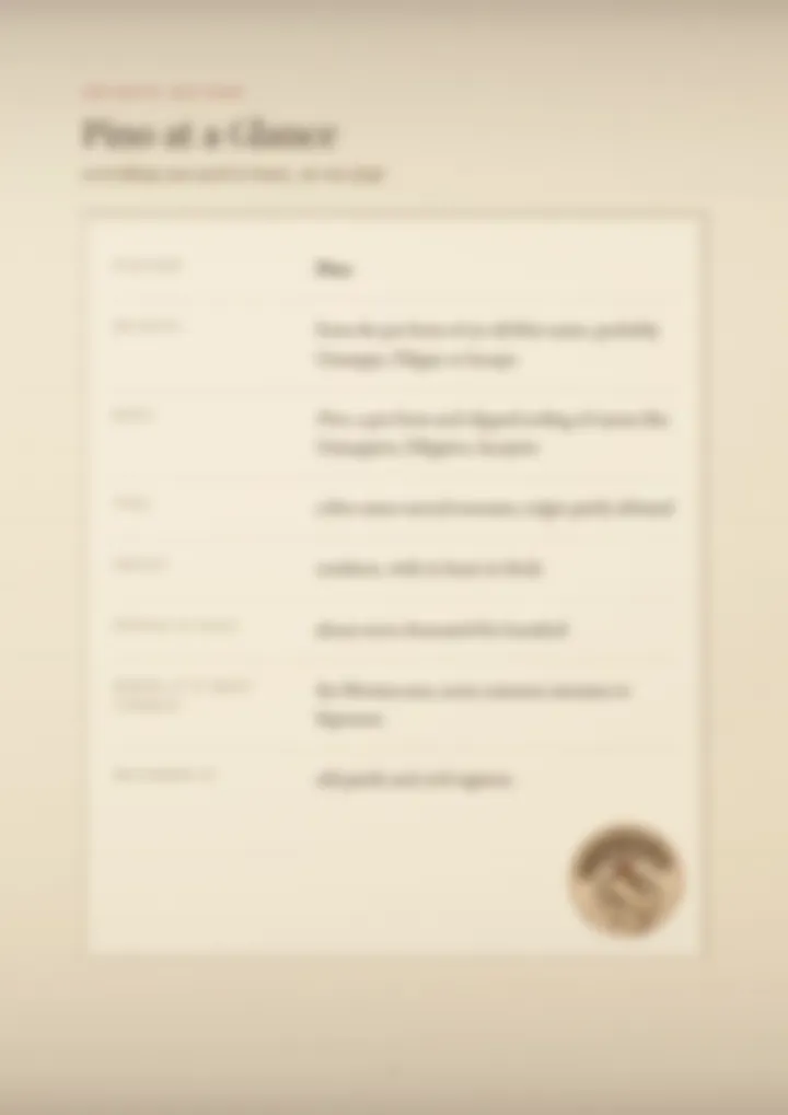A blurred page from the PDF on the Pino surname