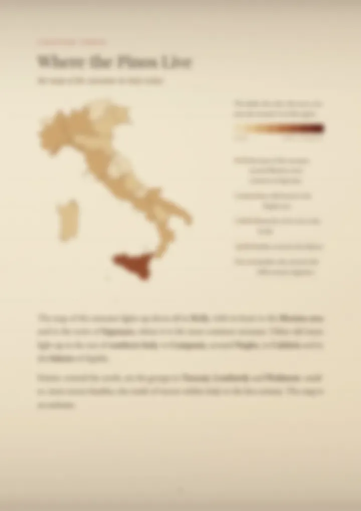 A blurred page from the PDF on the Pino surname
