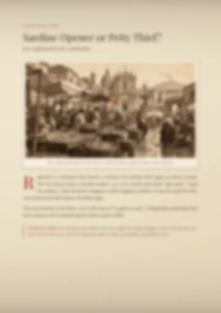 A blurred page from the PDF on the Rapisarda surname