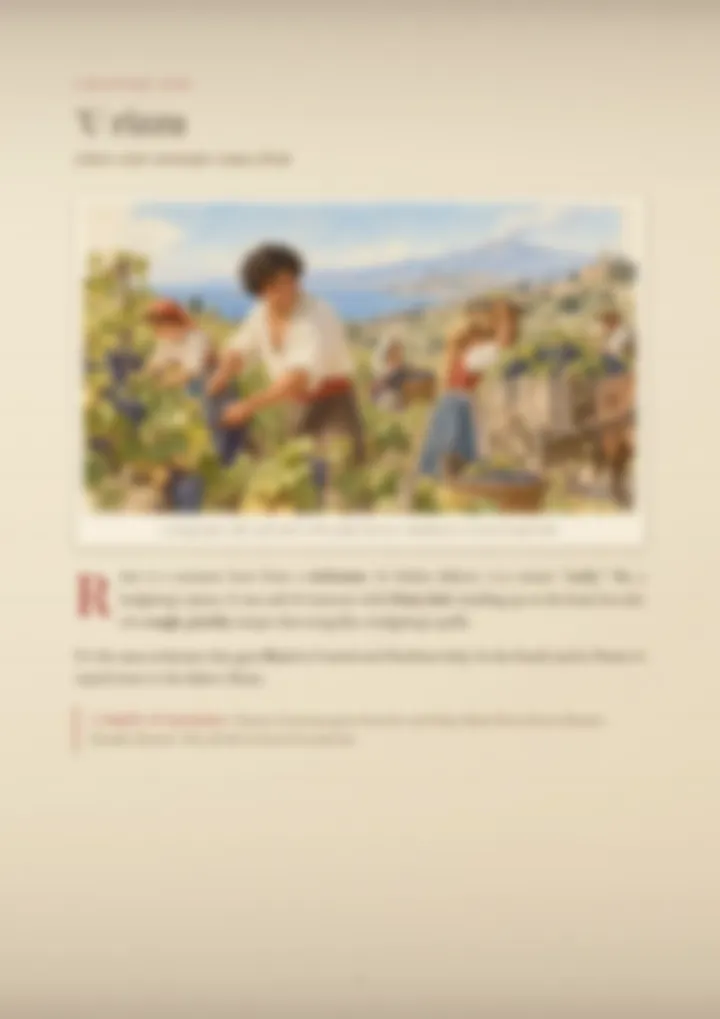 A blurred page from the PDF on the Rizzo surname