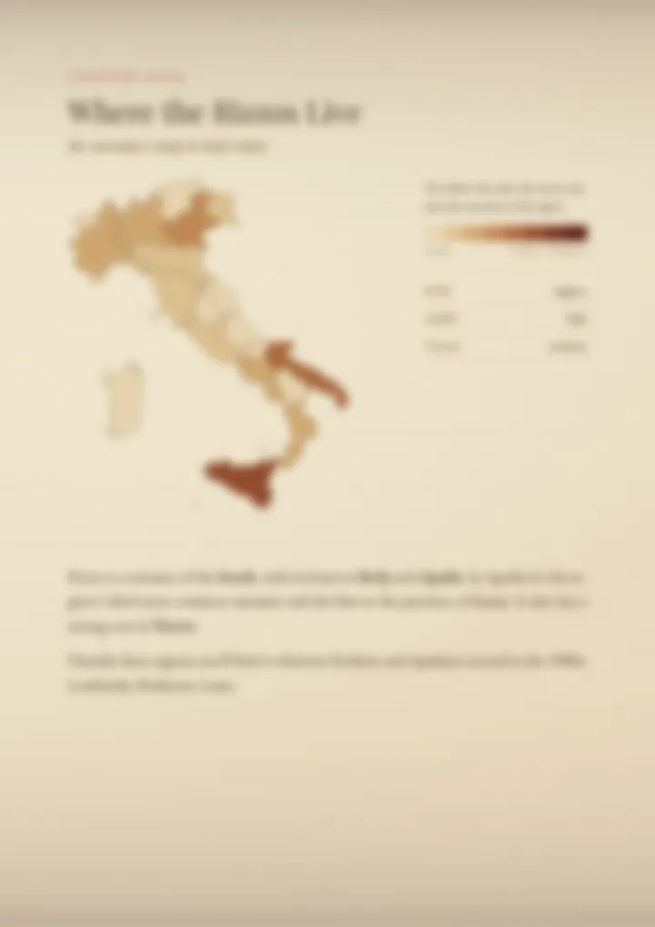 A blurred page from the PDF on the Rizzo surname