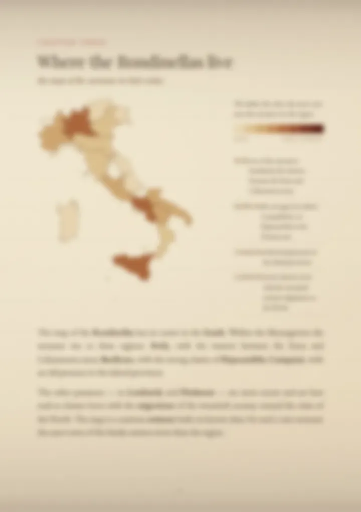 A blurred page from the PDF on the Rondinella surname