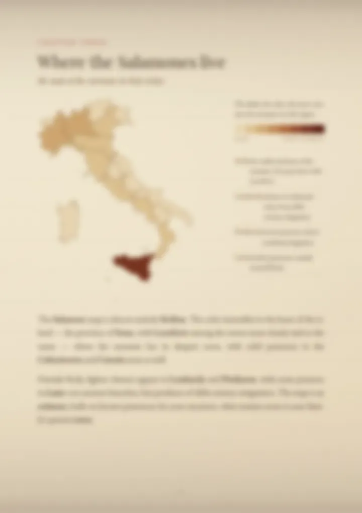 A blurred page from the PDF on the Salamone surname