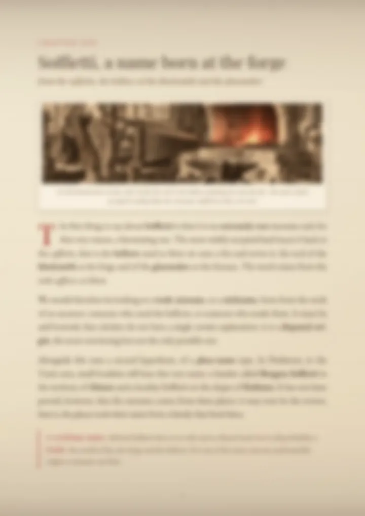A blurred page from the PDF on the Soffietti surname