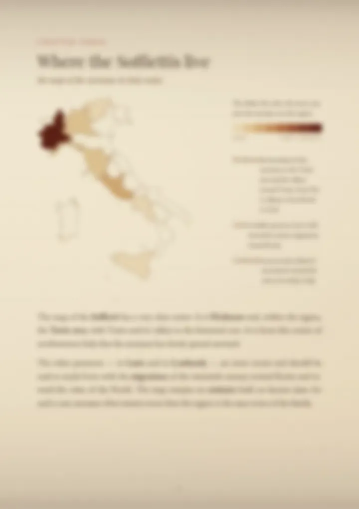 A blurred page from the PDF on the Soffietti surname