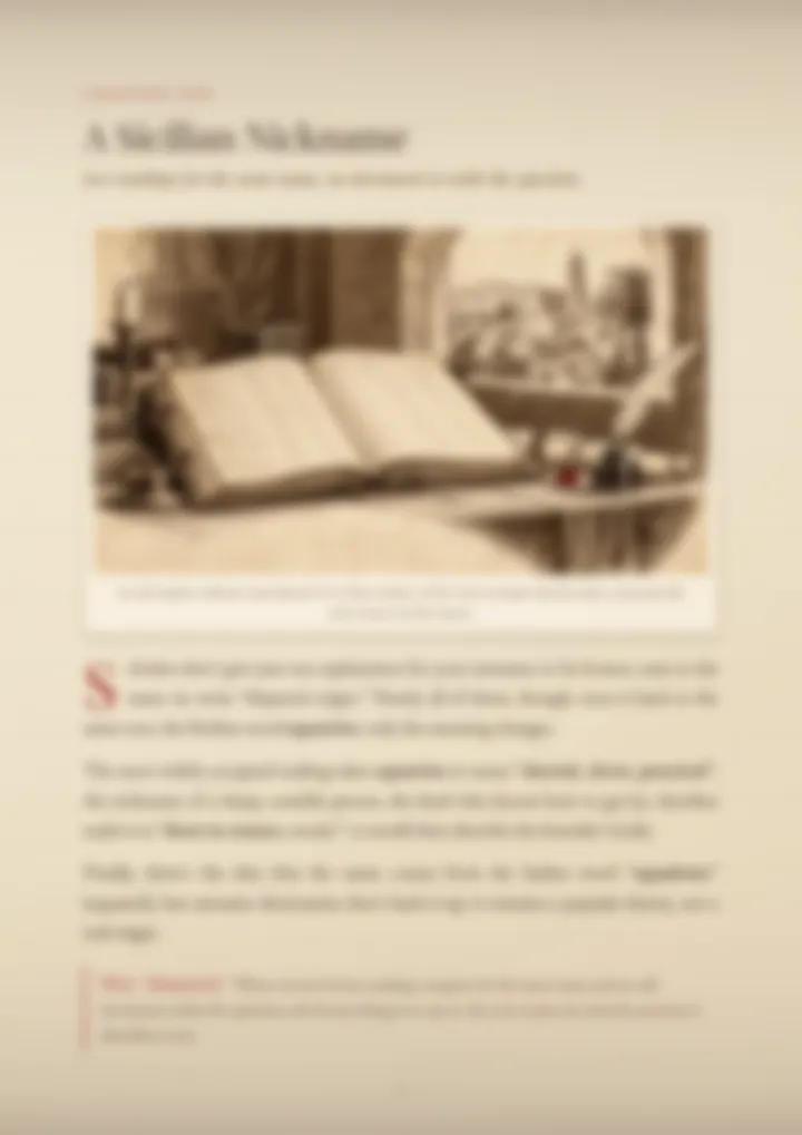 A blurred page from the PDF on the Squadrito surname