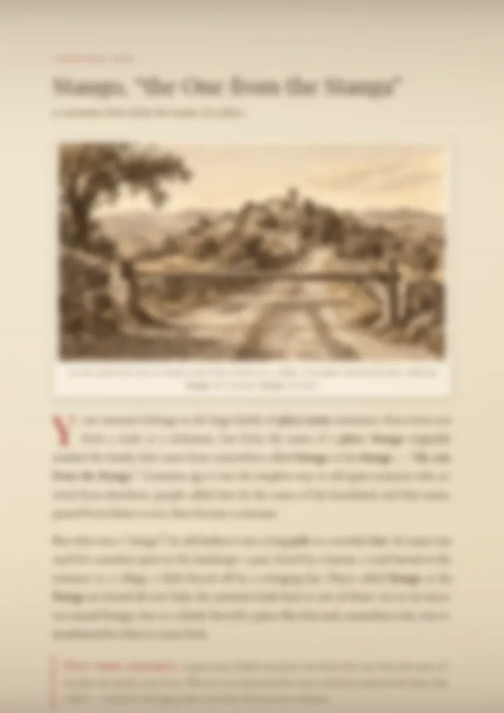 A blurred page from the PDF on the Stango surname