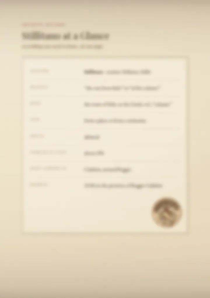 A blurred page from the PDF on the Stillitano surname