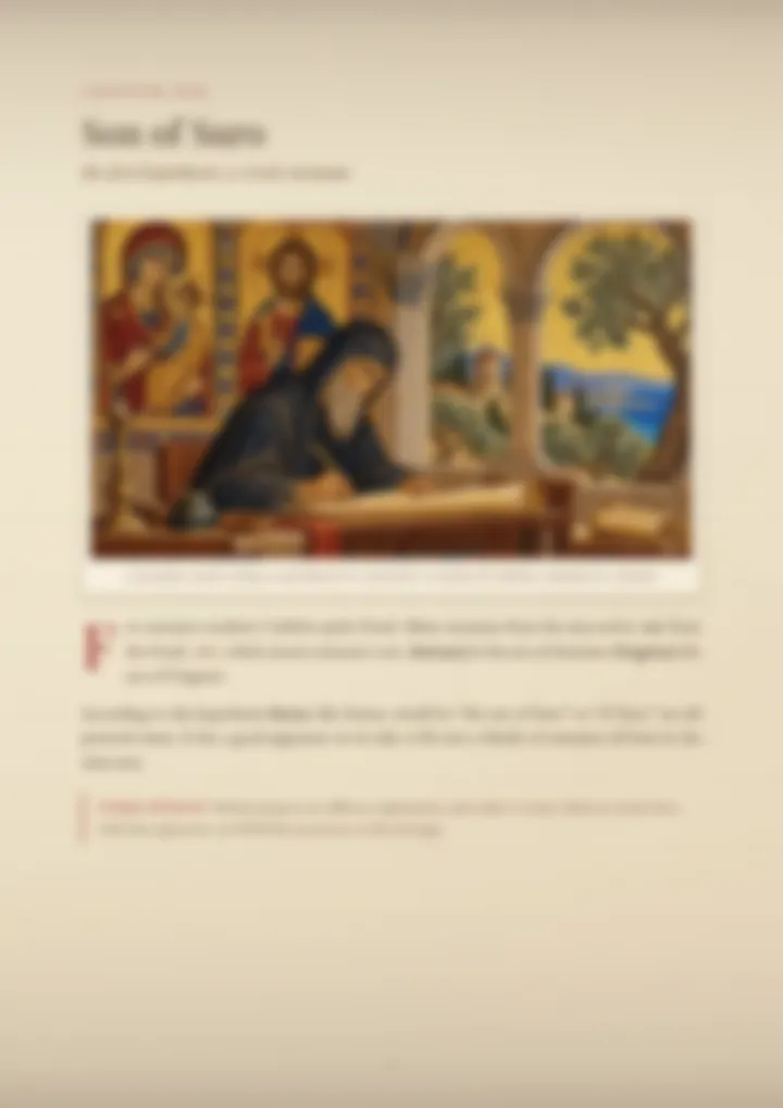 A blurred page from the PDF on the Suraci surname