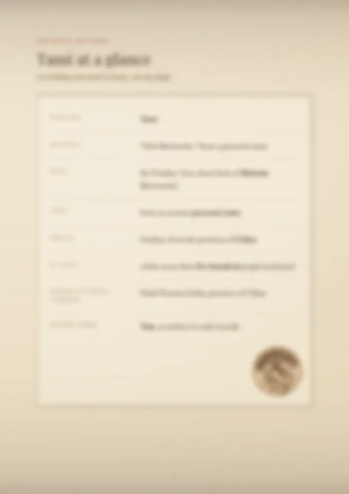 A blurred page from the PDF on the Tami surname