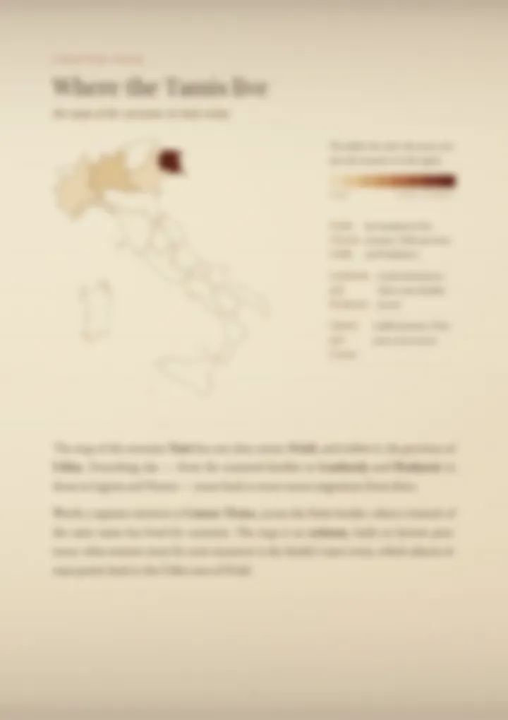 A blurred page from the PDF on the Tami surname