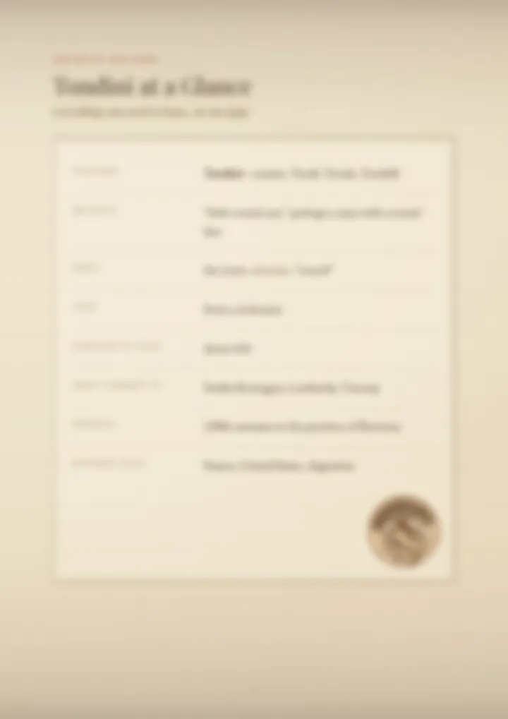 A blurred page from the PDF on the Tondini surname