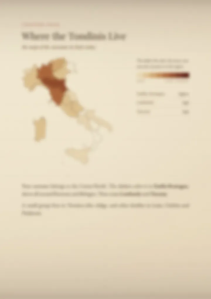 A blurred page from the PDF on the Tondini surname
