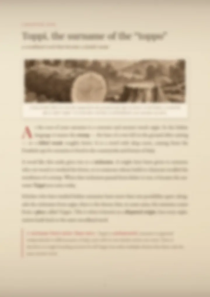 A blurred page from the PDF on the Toppi surname