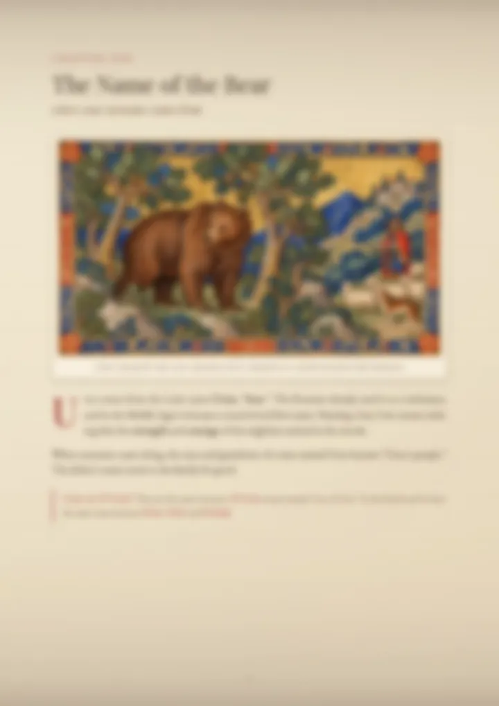 A blurred page from the PDF on the Urso surname