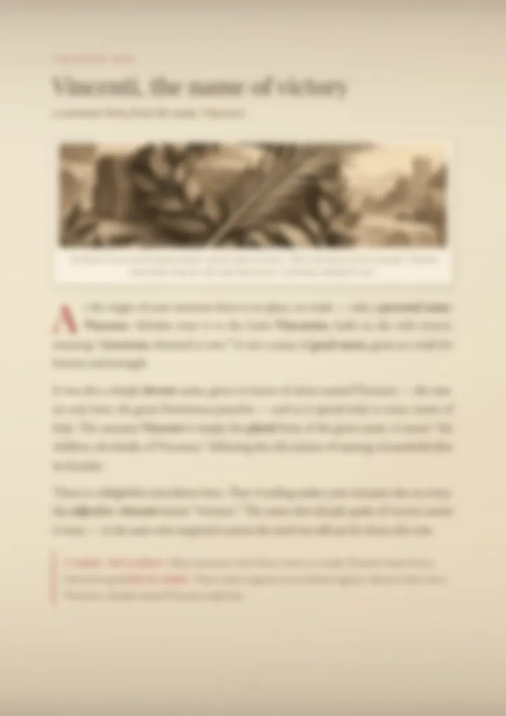 A blurred page from the PDF on the Vincenti surname