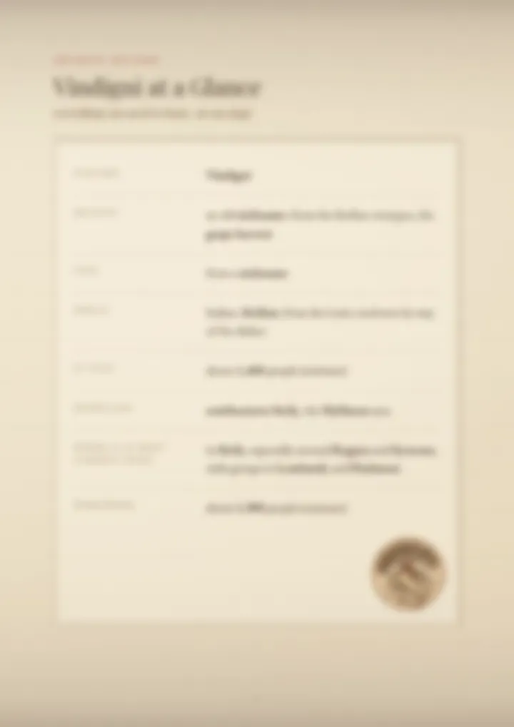 A blurred page from the PDF on the Vindigni surname